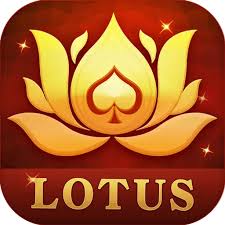 teen patti joy new download